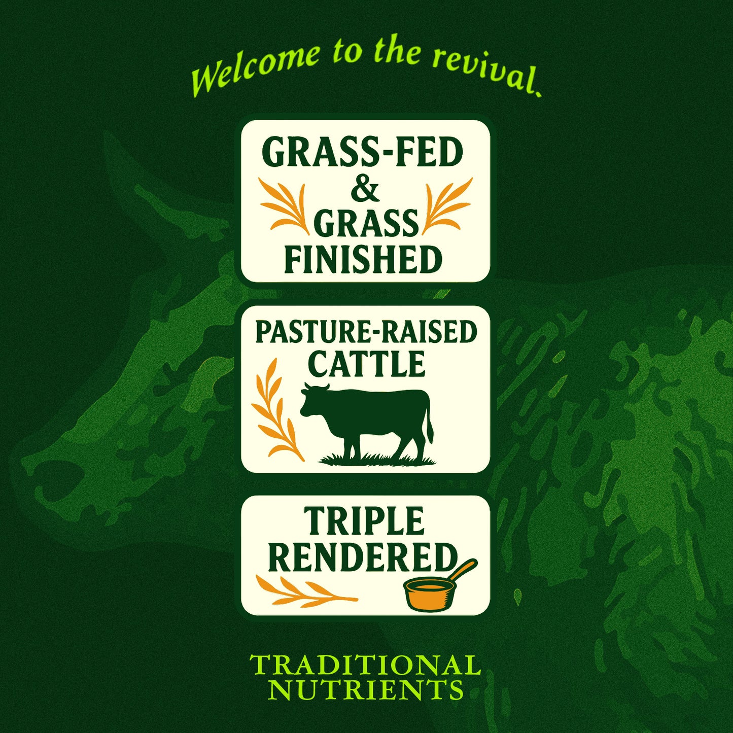 Pasture Raised Beef Tallow Made from 100% Suet