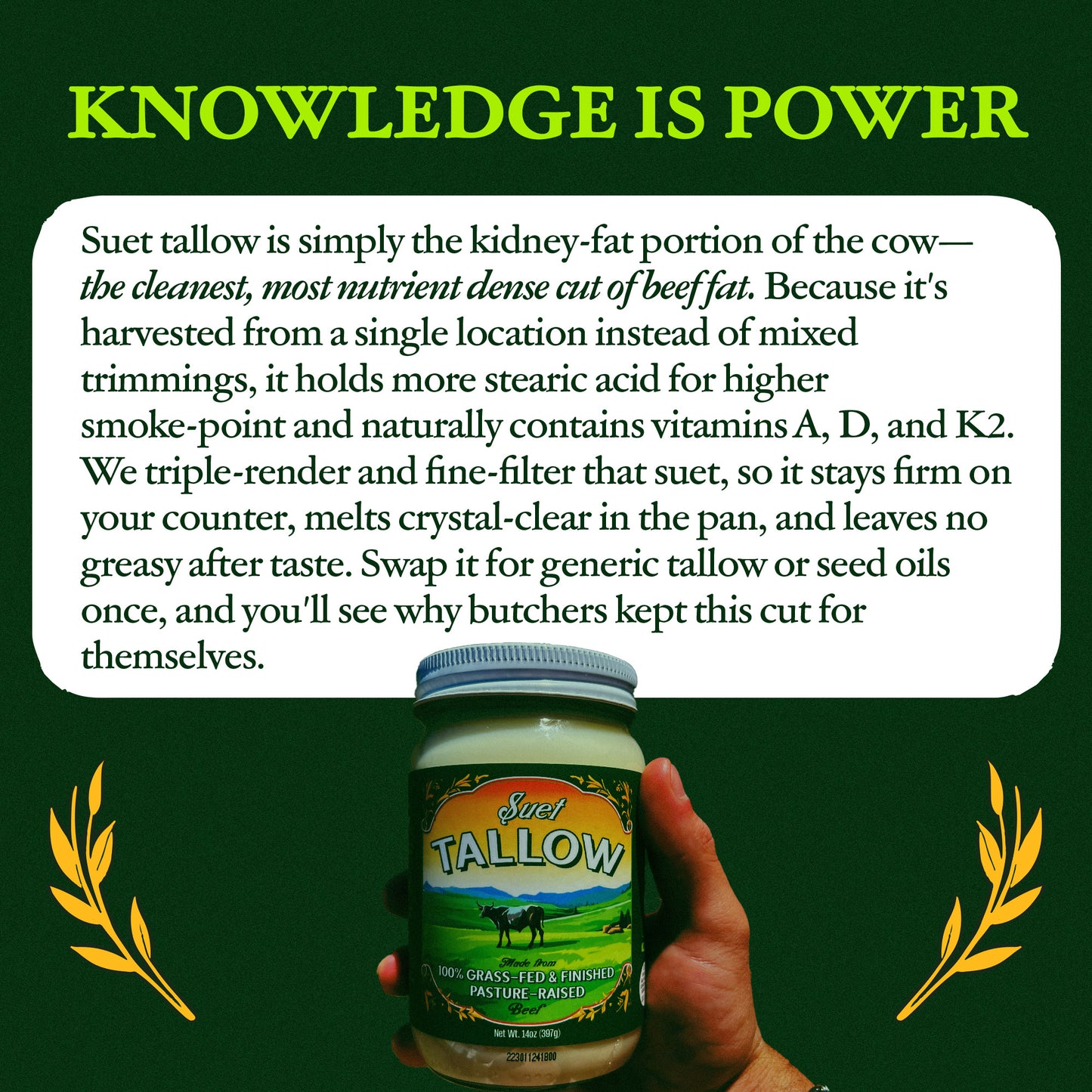 Pasture Raised Beef Tallow Made from 100% Suet