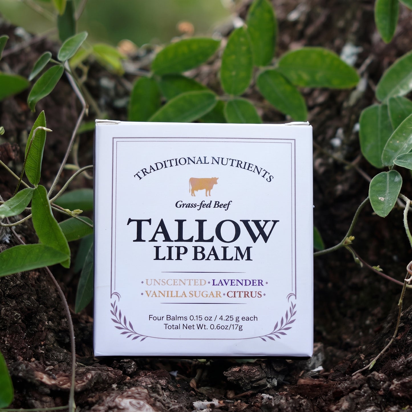 Traditional Nutrients Grass-Fed Beef Tallow Lip Balm, Variety 4-Pack, Unscented, Lavender, Vanilla Sugar, Citrus, with Organic Beeswax