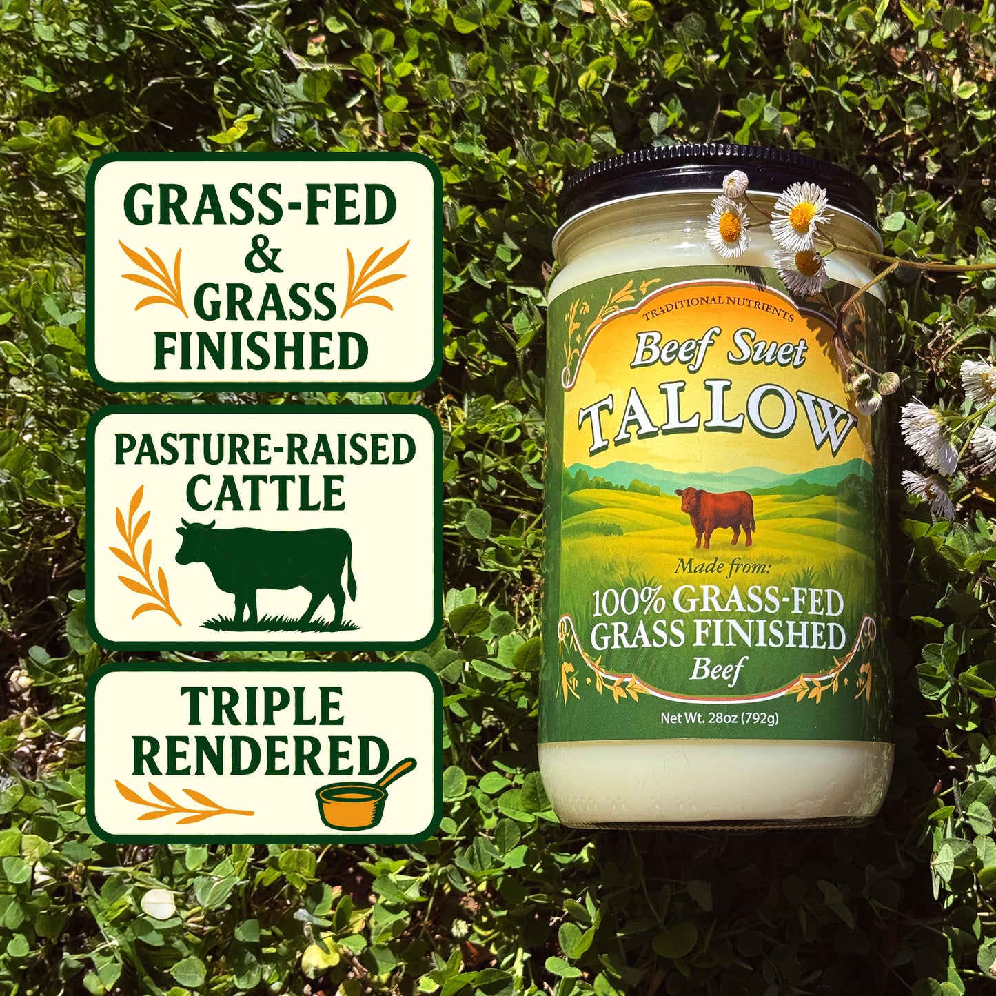 Grass Fed Beef Tallow, Grass Finished, Pure Beef Suet Tallow Fat 1.75lbs
