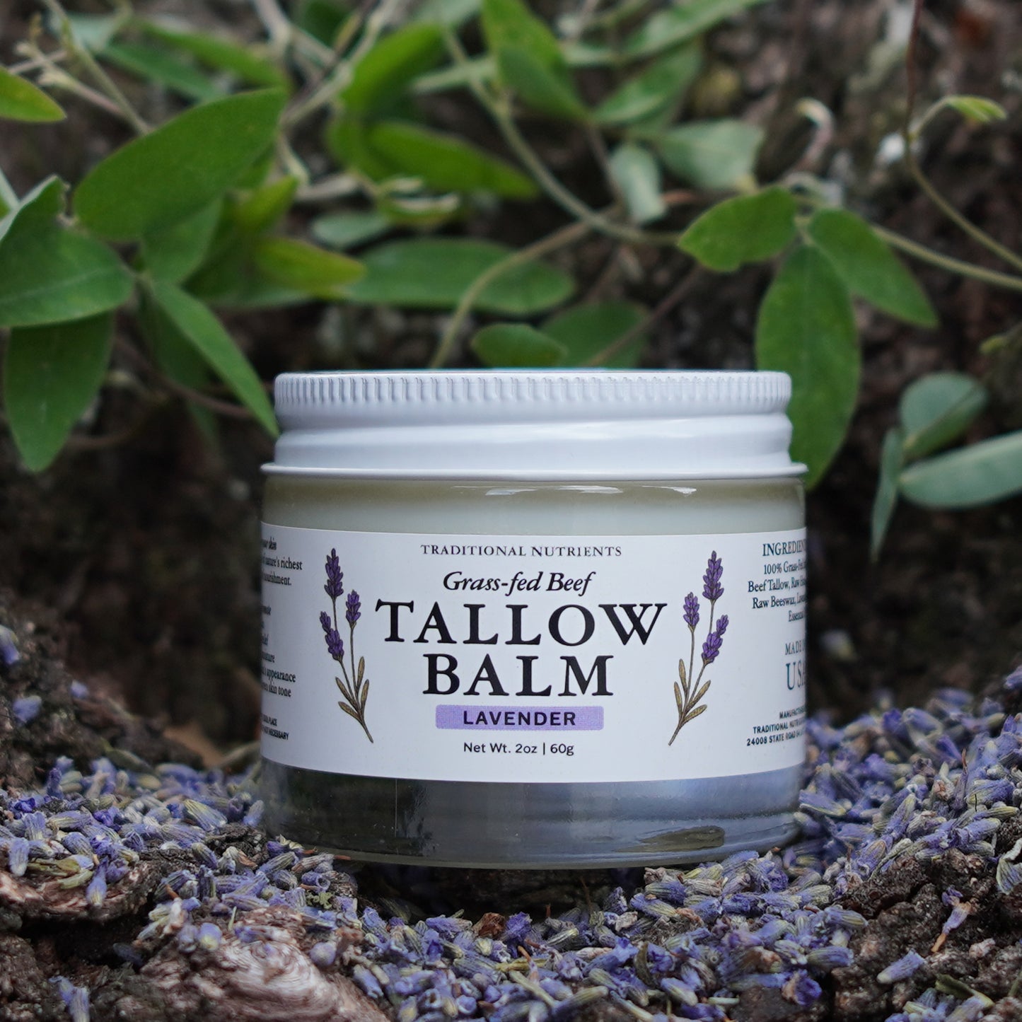 TRADITIONAL NUTRIENTS Lavender Tallow Balm – Grass-Fed Suet Beef Tallow Moisturizer with Honey, Beeswax & Lavender Oil – Nourishing Face & Body Balm (2oz)