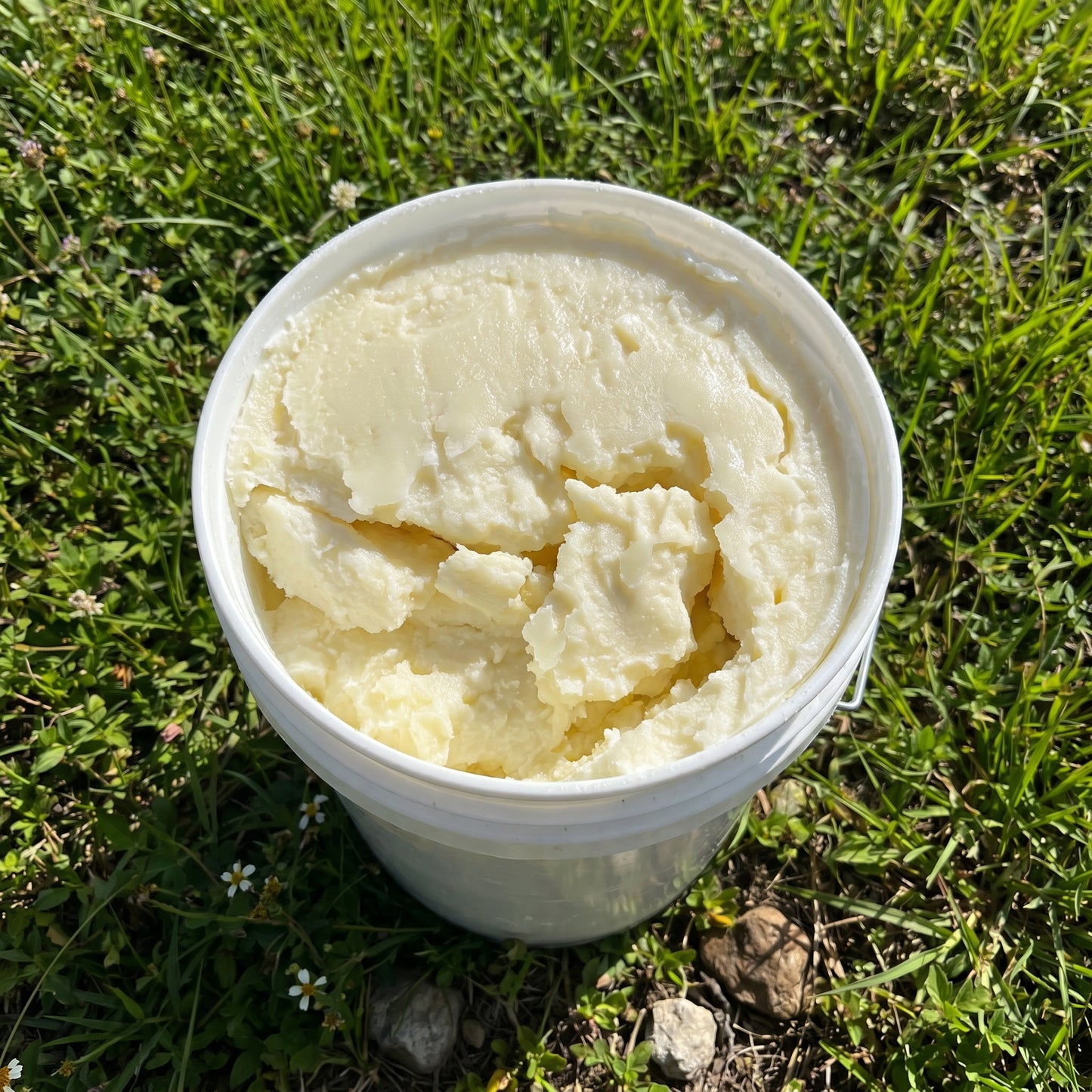 Bulk Grass-fed Beef Tallow (36lbs - 5 Gallon bucket)